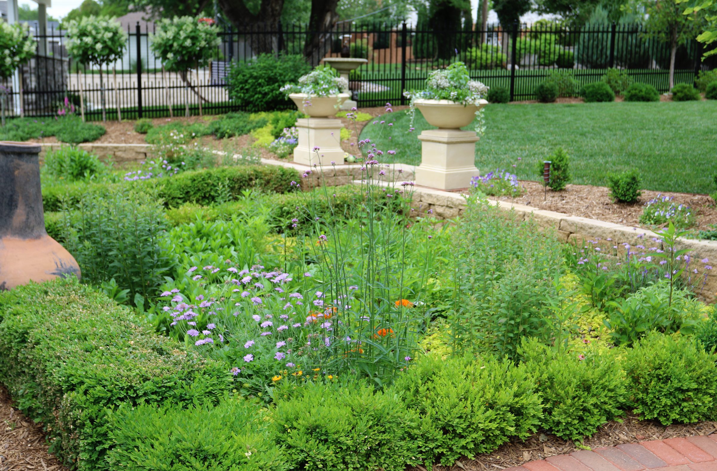 A lush outdoor garden with blooming native plant varieties