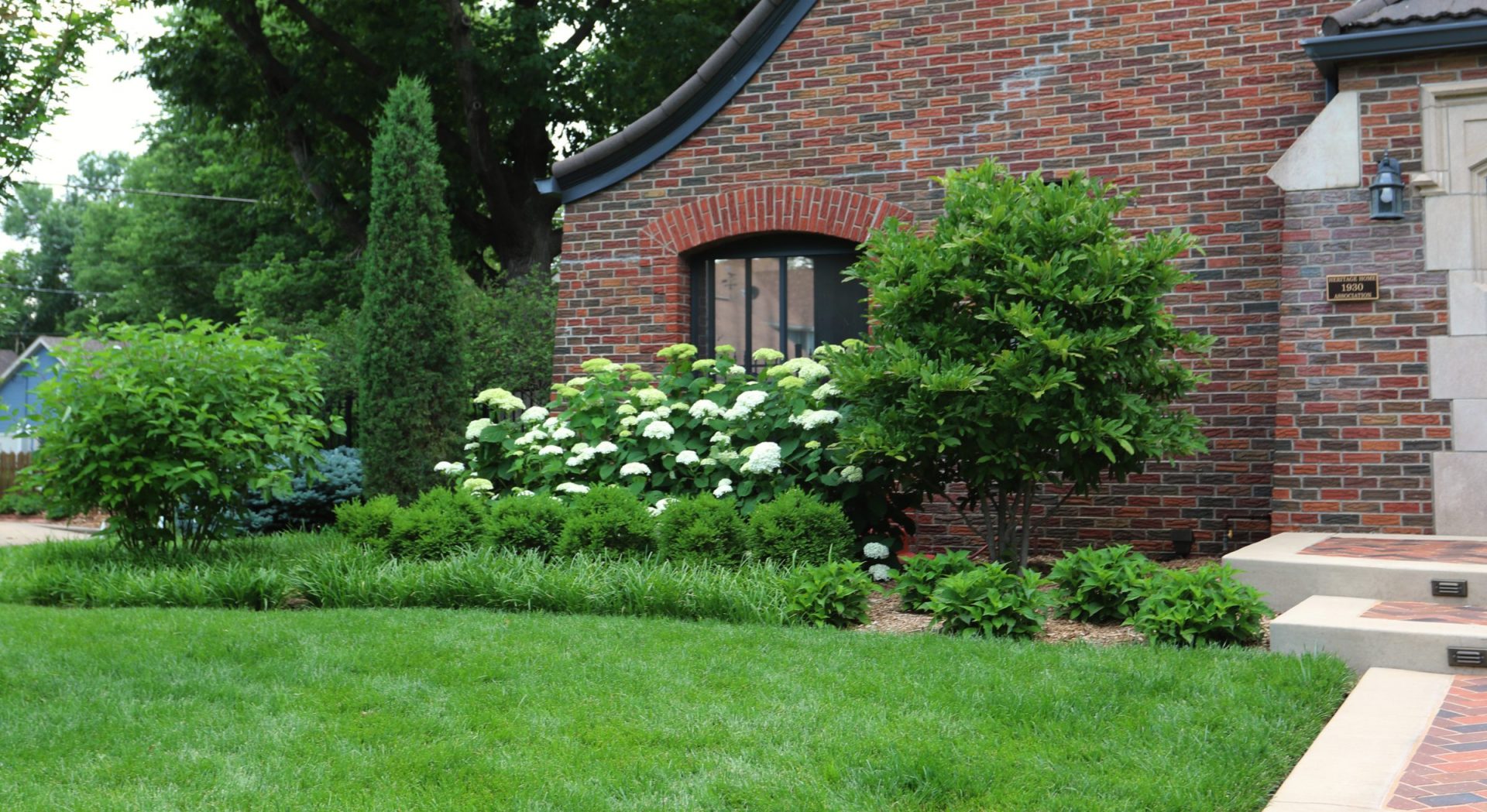 A beautiful yard with boundary plants 