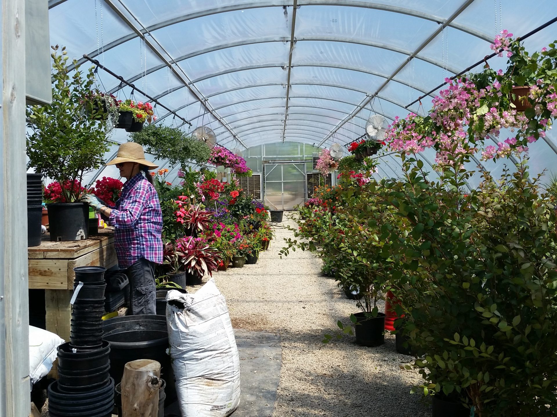 A nursery of beautiful flowers and trees