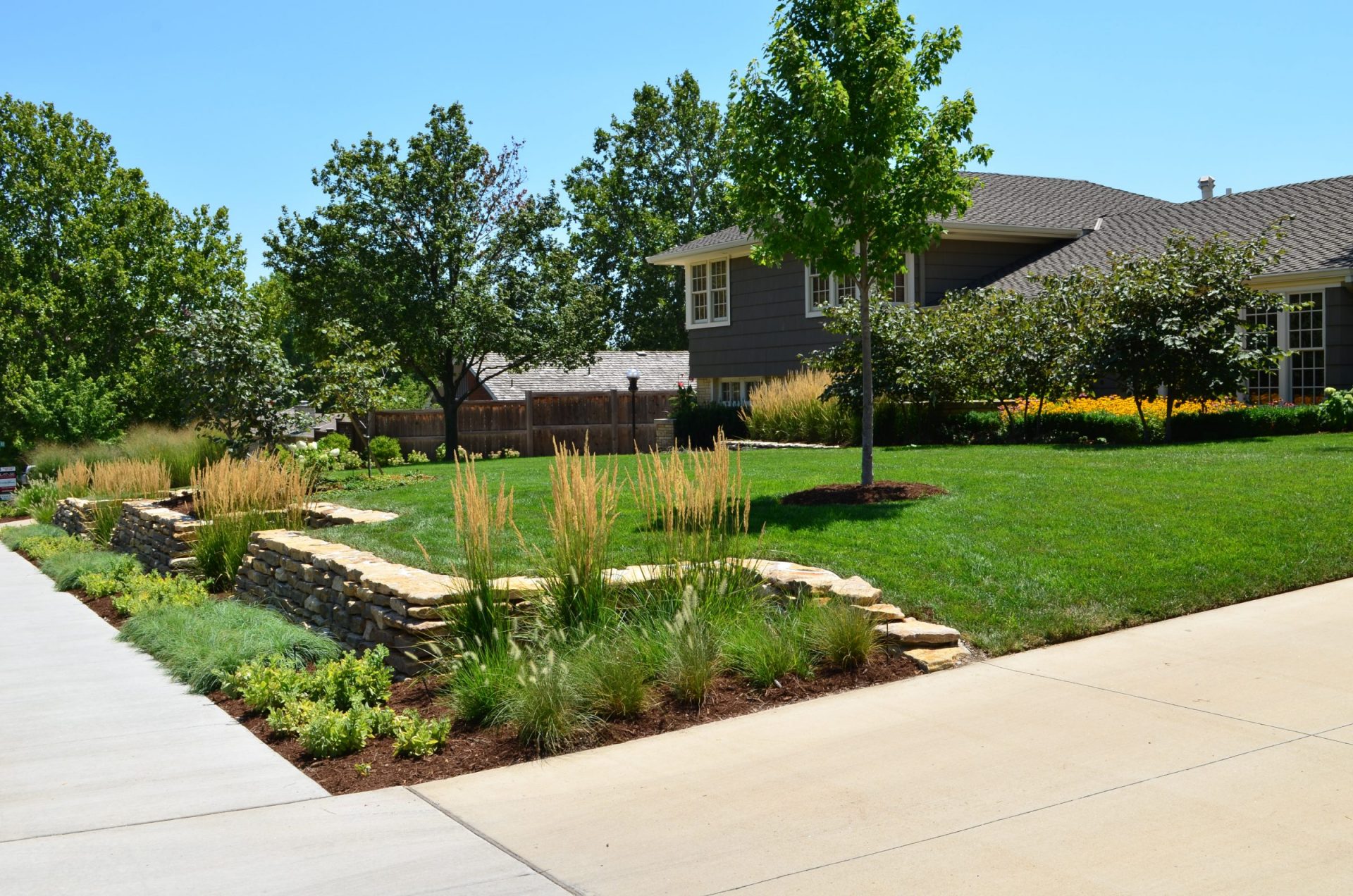 A BEAUTIFUL LAWN WITH PLANTS THAT GIVE LUXURY VIBES