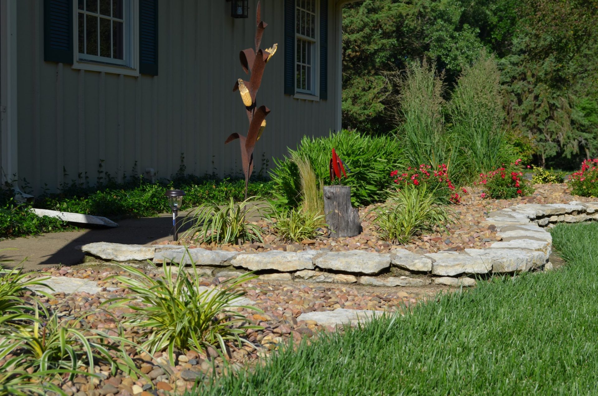 planting with lighting effect 
