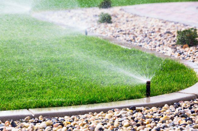 A pop-up sprinkler watering a neatly edged lawn beside a rock-covered landscaping border.