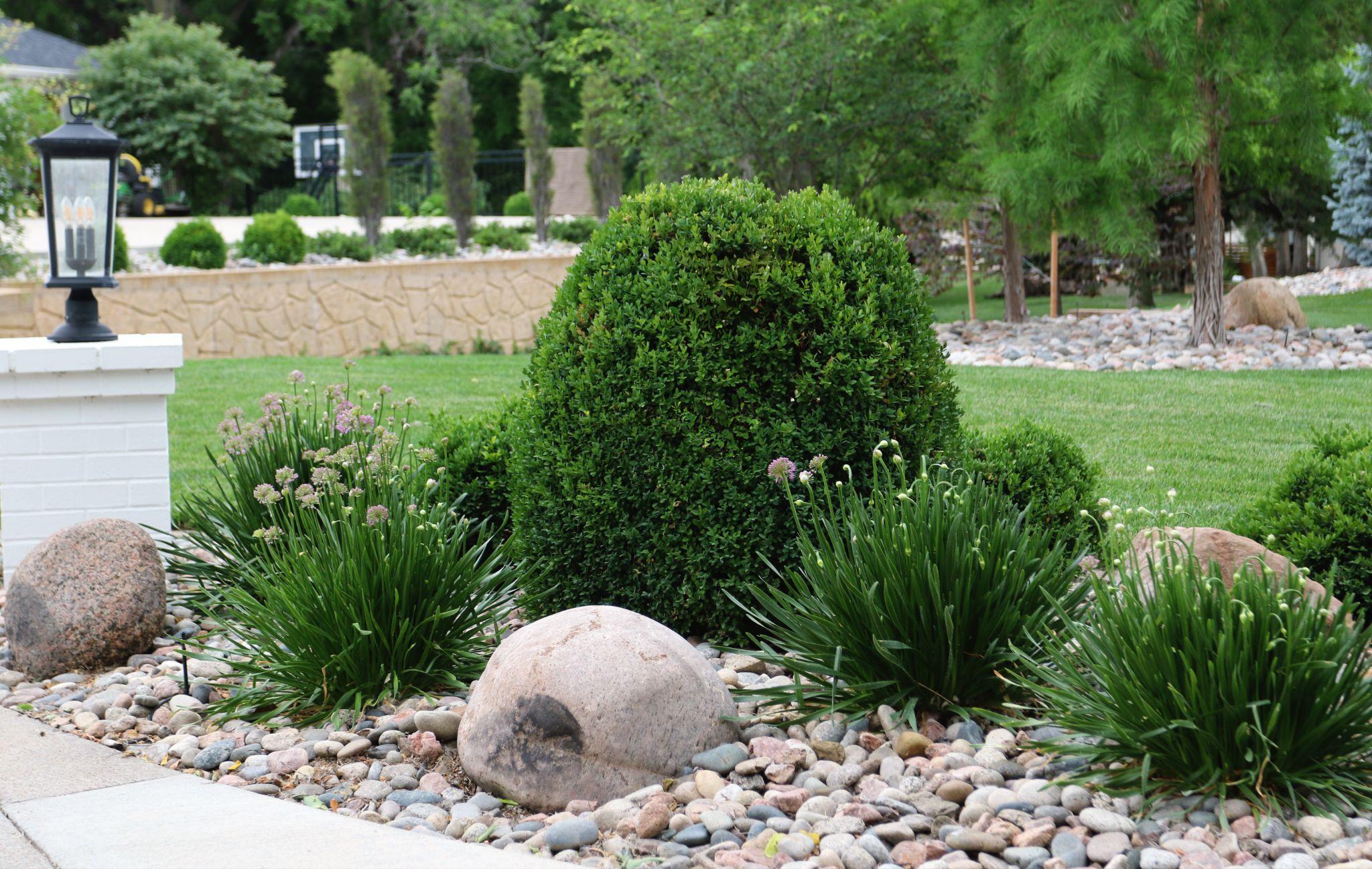 A rock garden with rounded river stones, flowering plants, and neatly trimmed shrubs set against a wide, green lawn and mature trees.