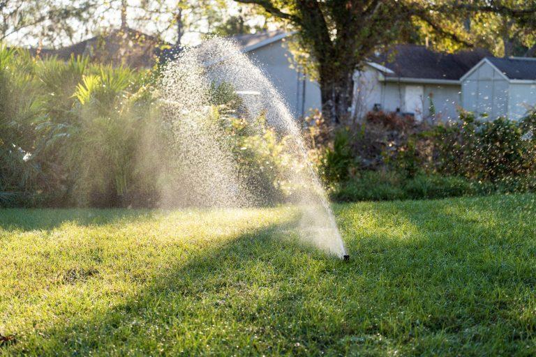 A sprinkler watering a backyard lawn in the morning light with trees and shrubs in the background.