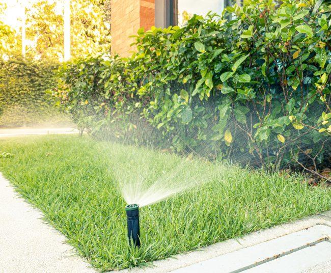 A sprinkler watering the edge of a grassy lawn beside a walkway and hedge near a house.