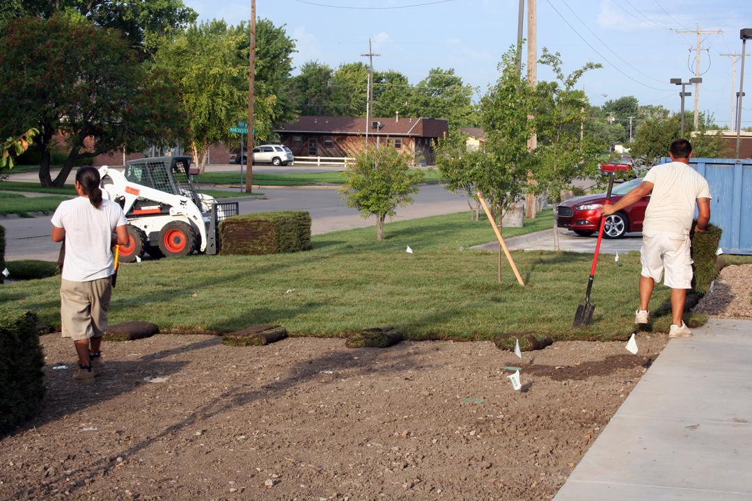 Crew installing sod on residential lawn