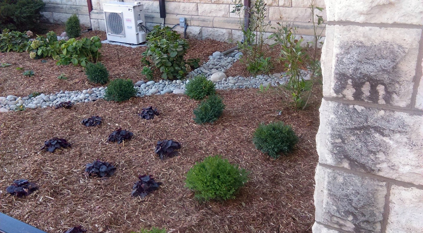 mulch with weeds and stone work 