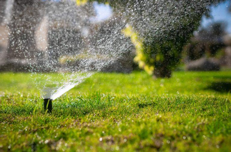 Pop-up sprinkler spraying water across a green lawn on a sunny day.