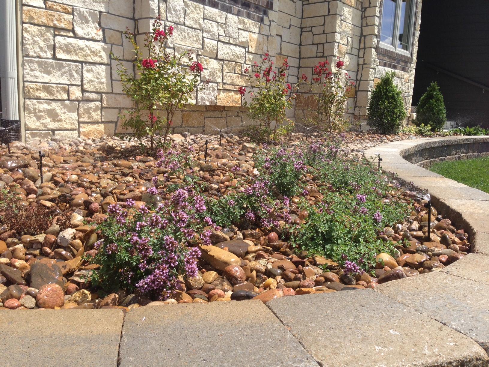 Rock garden with blooming shrubs and irrigation