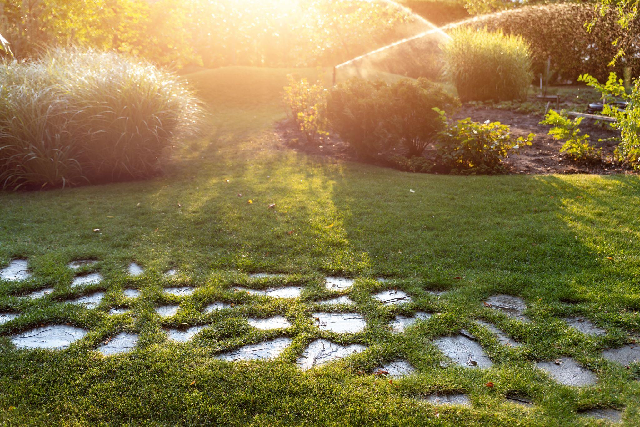 Sunlit garden lawn with stepping stones and sprinklers watering landscape beds in the background.